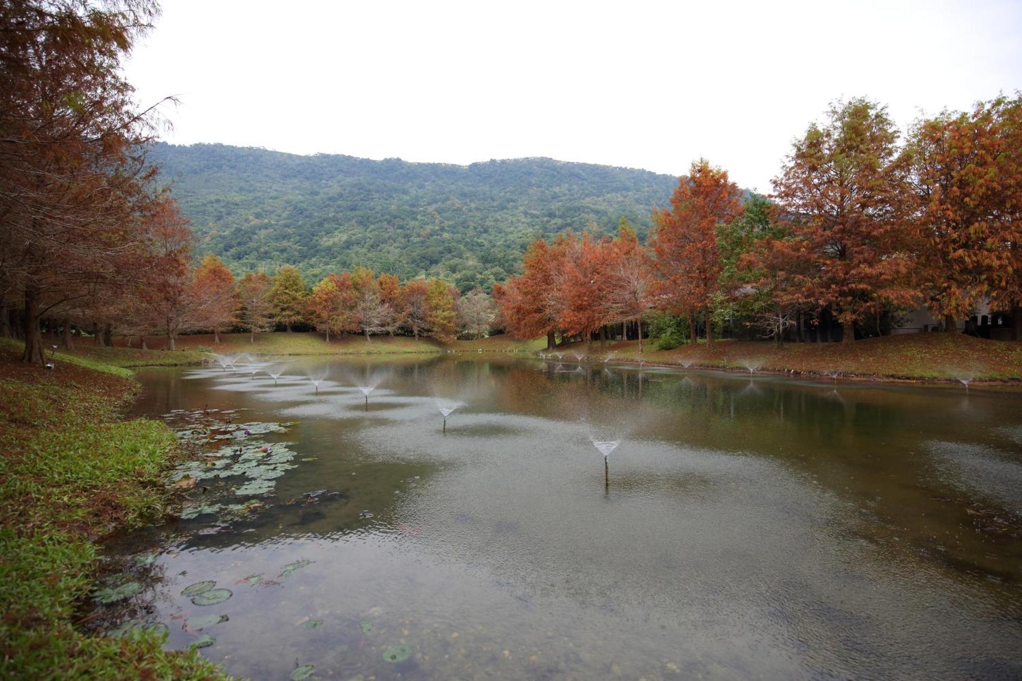Grace Garden Villa Fengshan  Dış mekan fotoğraf